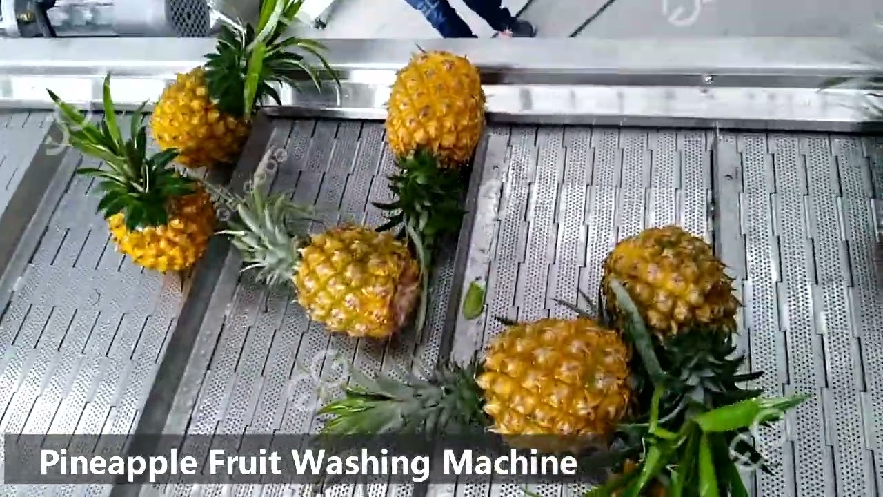Pineapple Fruit Washing Machine Video #fruit #washer