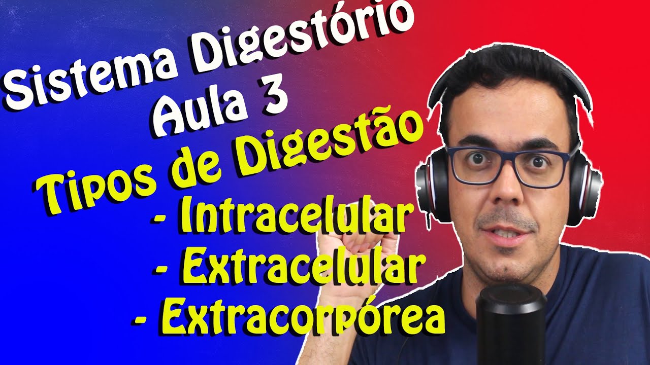Digestão Aula 3 - Tipos de Digestão: Intracelular, Extracelular e Extracorpórea