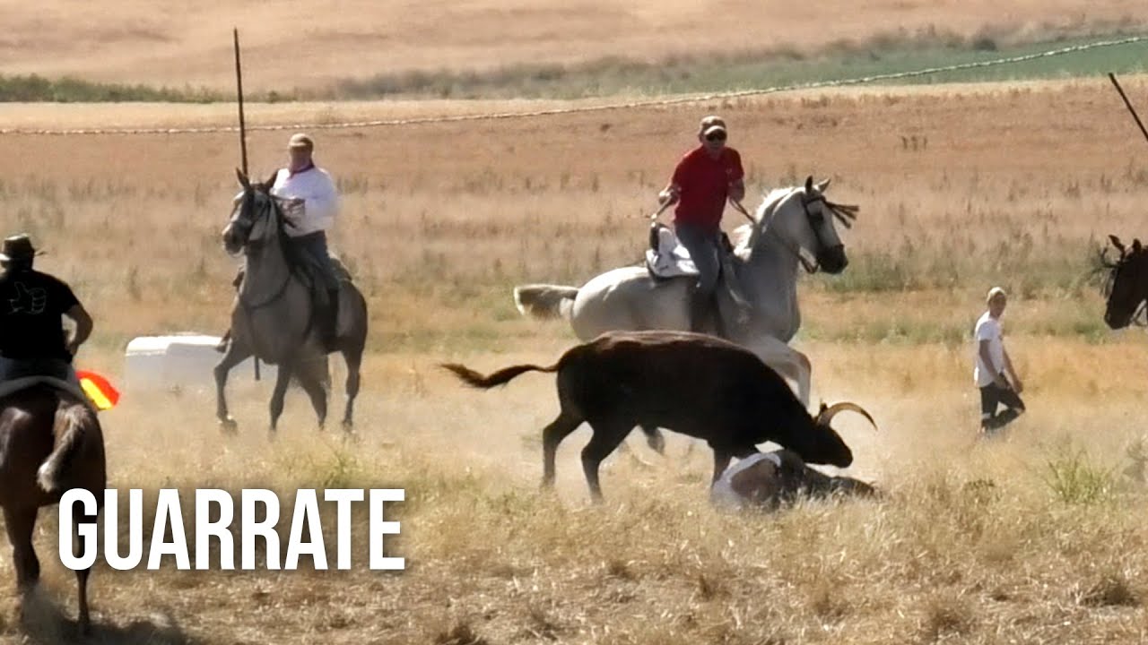 Guarrate 2024 Tradicionales Espantes con Toros Bravos