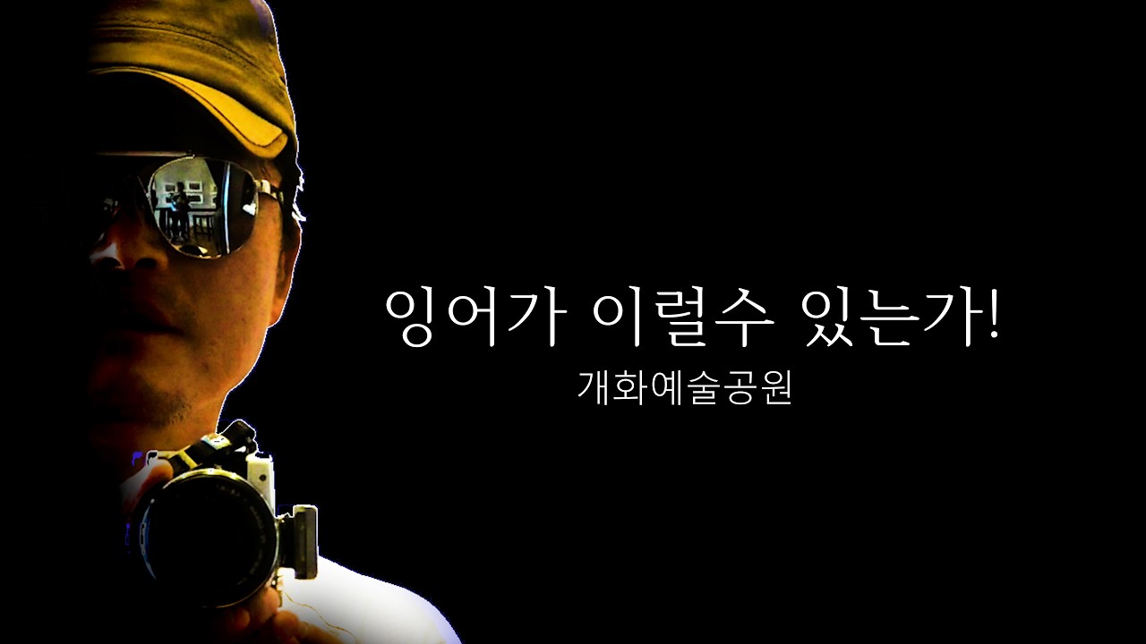 잘 먹고 살찐 비단잉어가 어마어마 하네#보령힐링하며 산책하기 좋은 개화예술공원