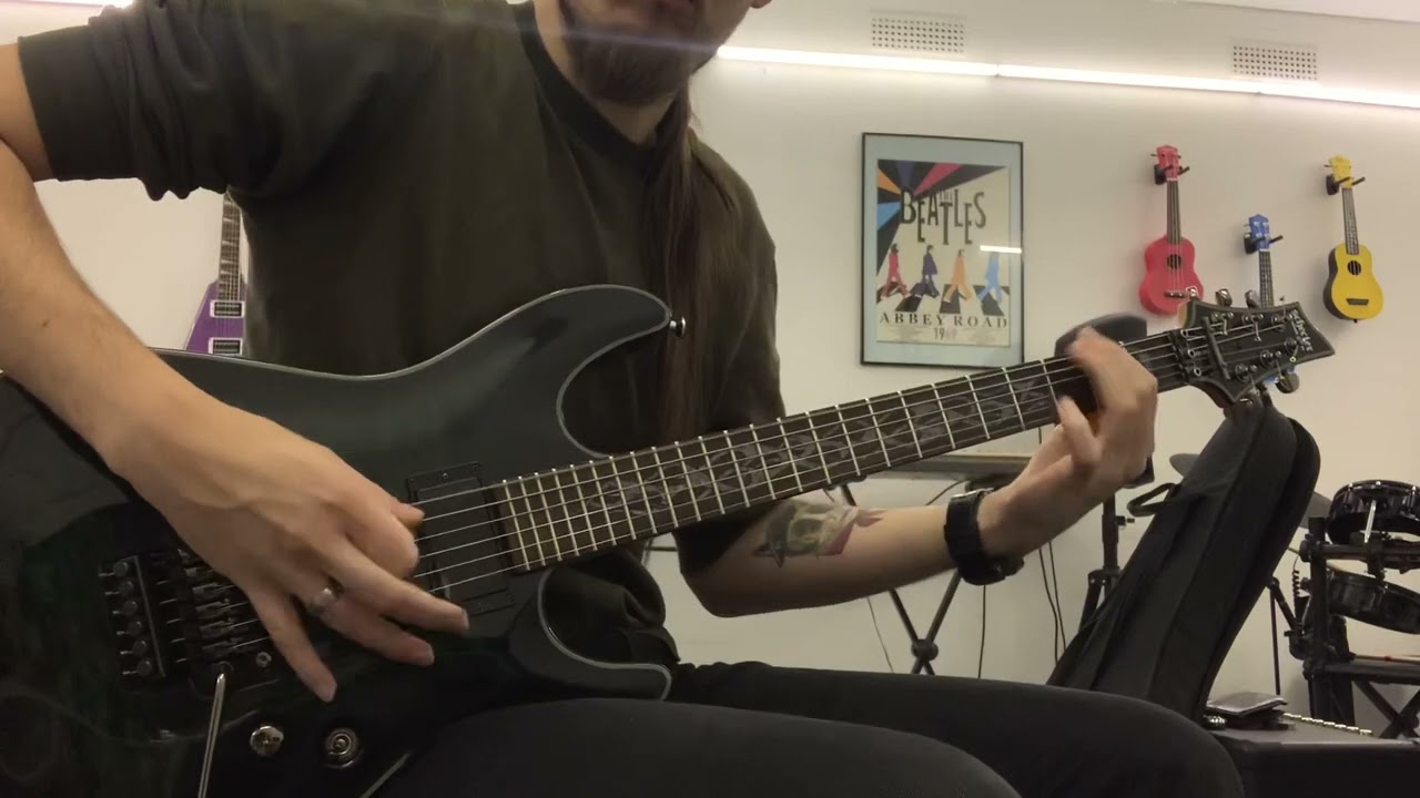 Schecter Damien 6 FR LE после отстройки