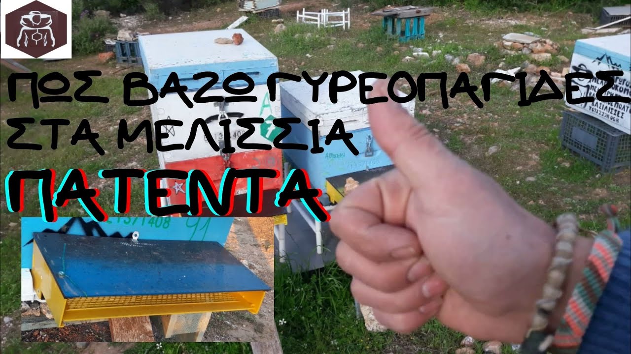 ΠΩΣ ΒΑΖΩ ΓΥΡΕΟΠΑΓΙΔΕΣ ΤΗΣ ANEL ΠΑΤΕΝΤΑ (How to add ANEL Entrance Pollen Collector)