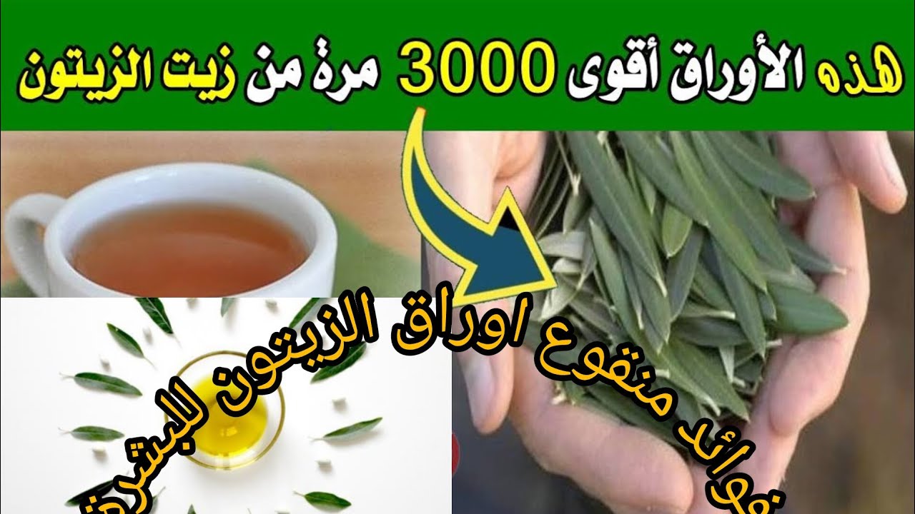 فوائد منقوع اوراق الزيتون للبشرة. أكثر من رائع يستحق التجربة 👍🏼👍🏼👍🏼💯