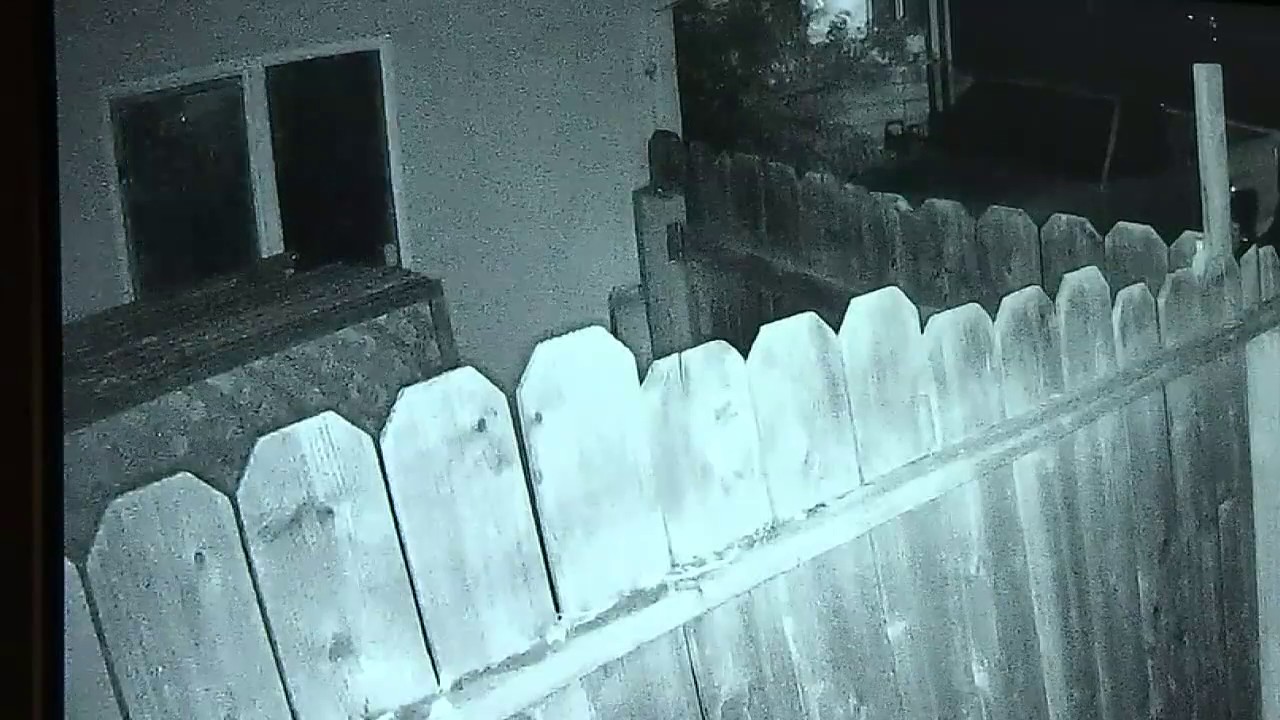 Homeowner shoots intruders