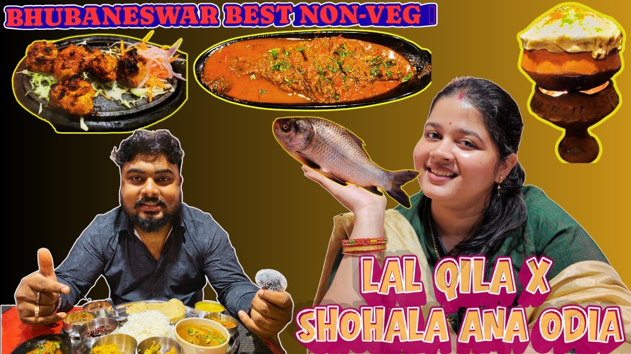 Best Non-Veg Food in Bhubaneswar | Lal Qila x Shohala Ana Odia Merge | Matka chicken / Katla fish 🔥