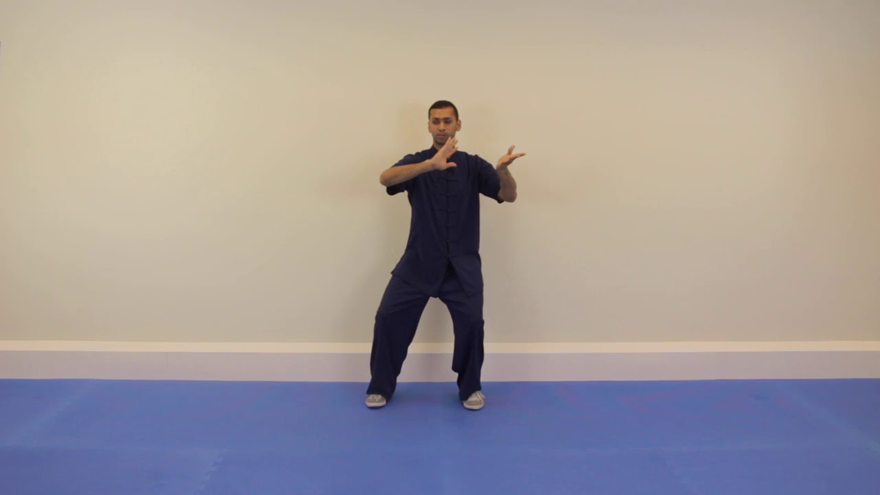 Chen Tai Chi Lao Jia: Buddah's Warrior Pounds Mortar