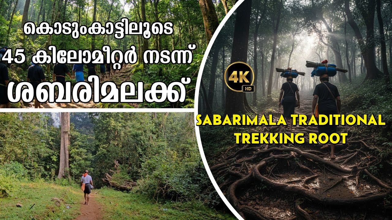കൊടുംകാട്ടിലൂടെ 45 കിലോമീറ്റർ നടന്നു ശബരിമലയിലേക്ക് |TRADITIONAL TREKKING ROOT ERUMELI TO SABARIMAL