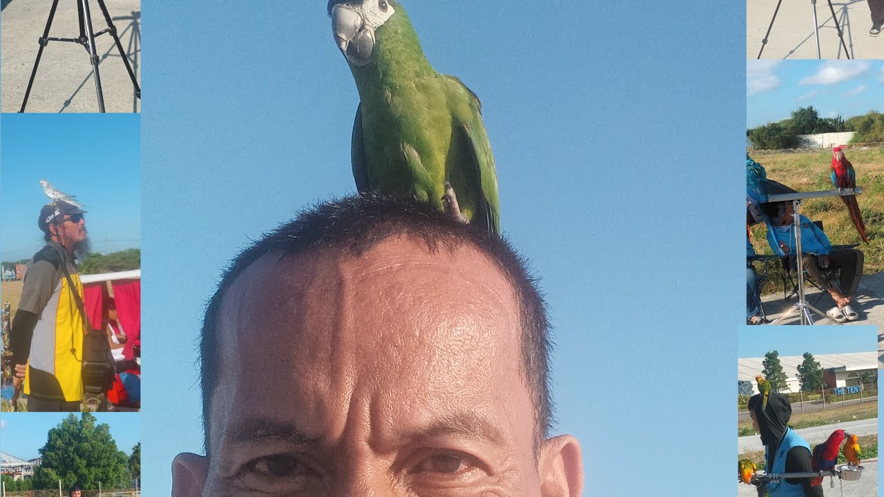 Jogging 🏃‍♀️ walking in the morning 🌄