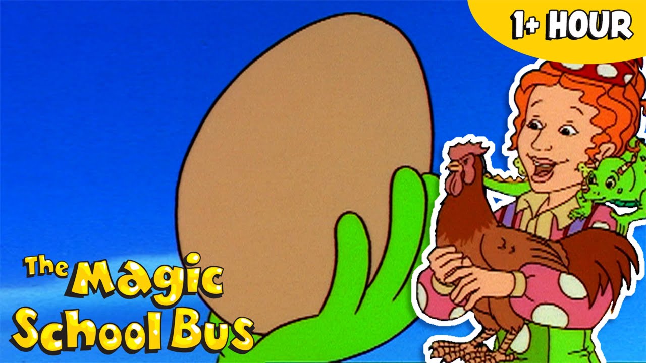 Excellent Egg Science | Science for Kids | Full Episodes | The Magic School Bus