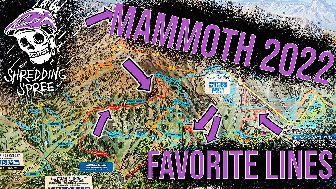 Mammoth Bike Park 2022: THE GOODS