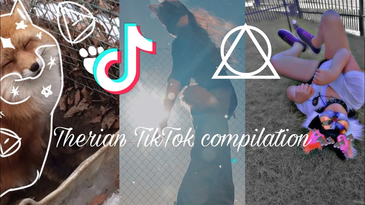 Therian and Quadrobics Compilation #3! #therian #theriangear #quadrobics #furry