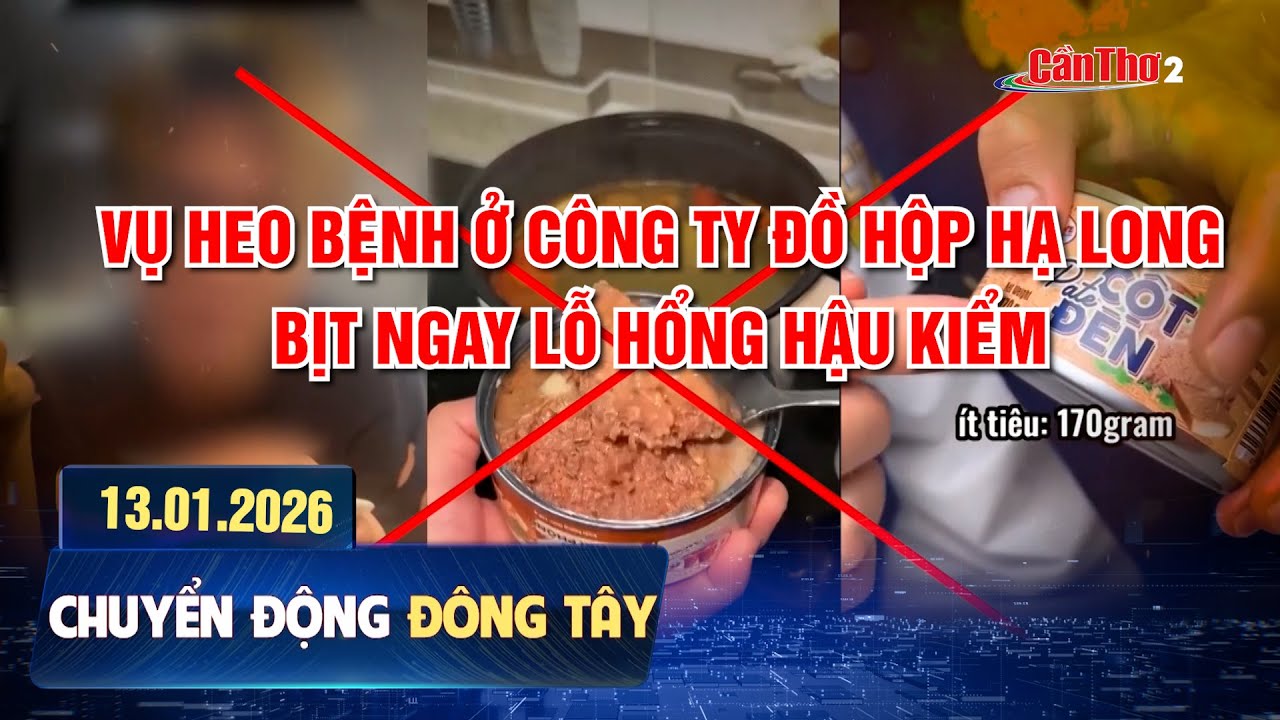 Vụ heo bệnh ở công ty đồ hộp Hạ Long: Bịt ngay lỗ hổng hậu kiểm | Chuyển động Đông Tây 13.01.2026