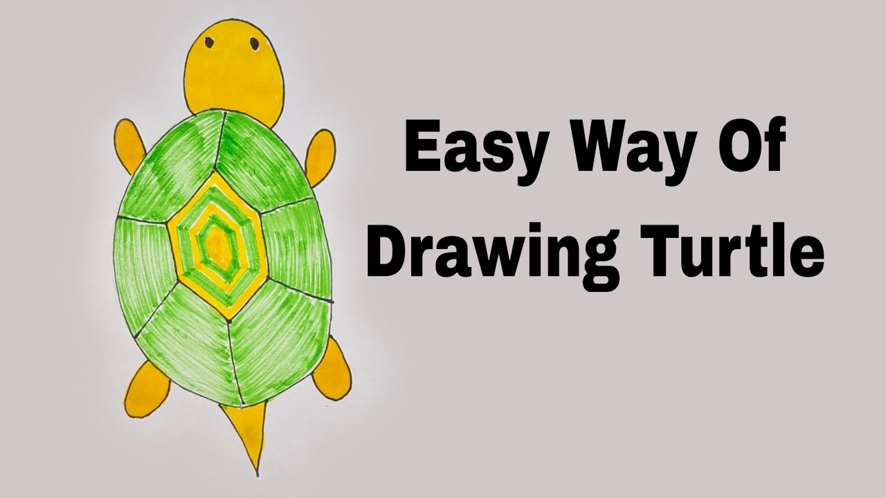 Easy Way Of Drawing Turtle #easydrawing 