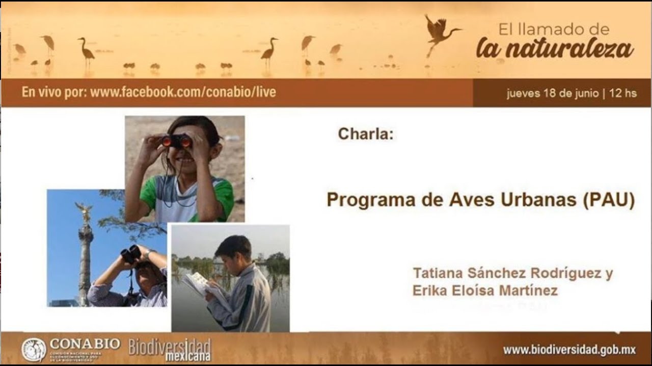 Programa de aves urbanas (PAU), Tatiana S&aacute;nchez Rodr&iacute;guez y &Eacute;rika Eloisa Mart&iacute;nez.