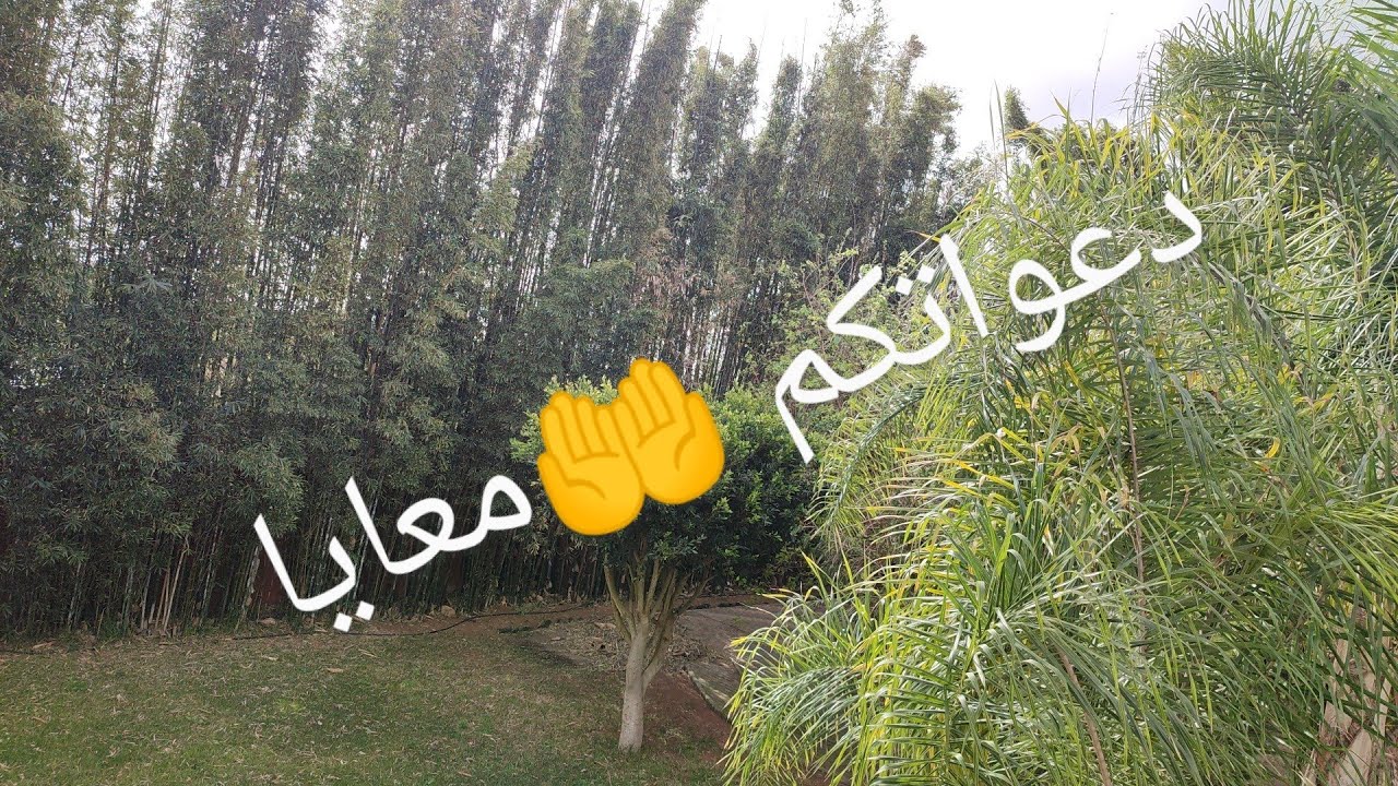 حكايتي مع الامرض الخبيث 🤕كيفاش كتشفتو وطريقة العلاج دعواتكم معايا🤲🤲
