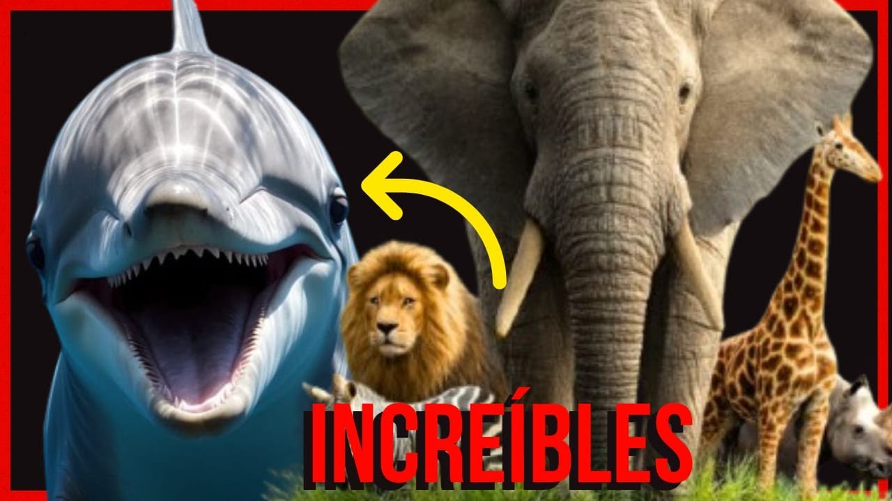 🔴En vivo HEROES SIN CAPA , ANIMALES EXTRAORDINARIOS | FAUNA SALVAJE