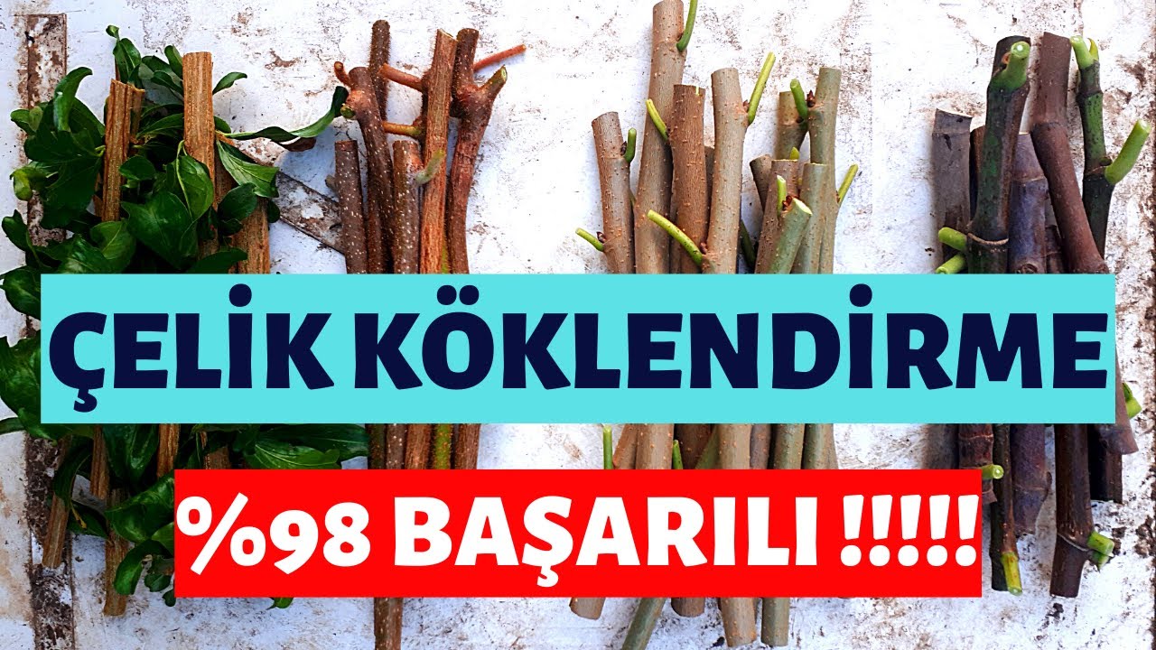 ÇELİK KÖKLENDİRME NASIL YAPILIR? %98 BAŞARILI