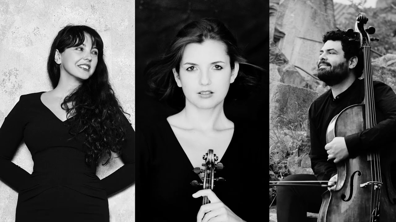 Schubert: Piano Trio in B-flat major, D.898, Andante un poco mosso