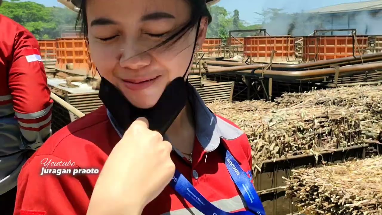 CANGGIH !! PROSES BONGKAR TEBU SAMPAI MENJADI GULA DI PABRIK GULA, FULL TRUK GANDENG