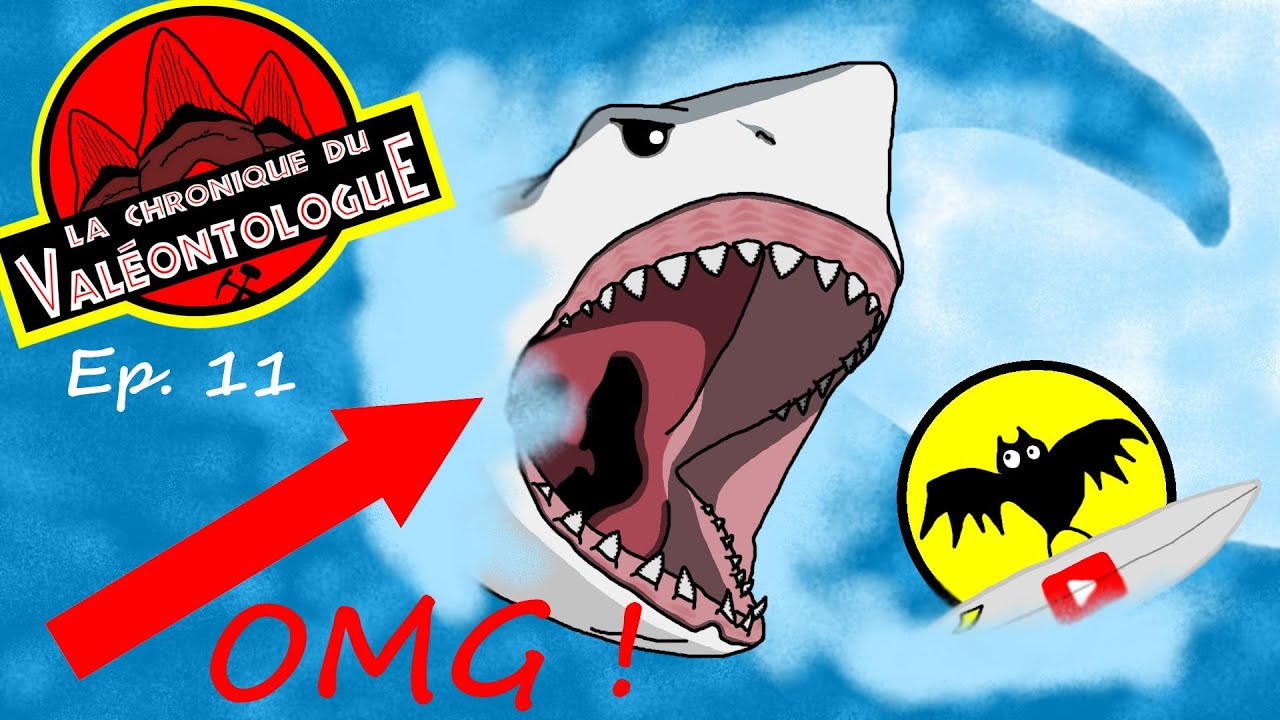 LCDV 11 - Top 5 des faux mégalodons capturés en vidéos dans la réalité !