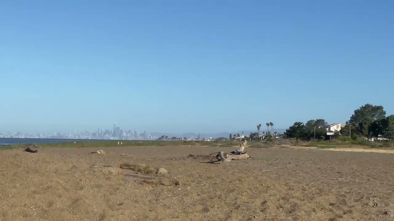 This Alameda beach has views of SF and a Trader Joe's mall across the street