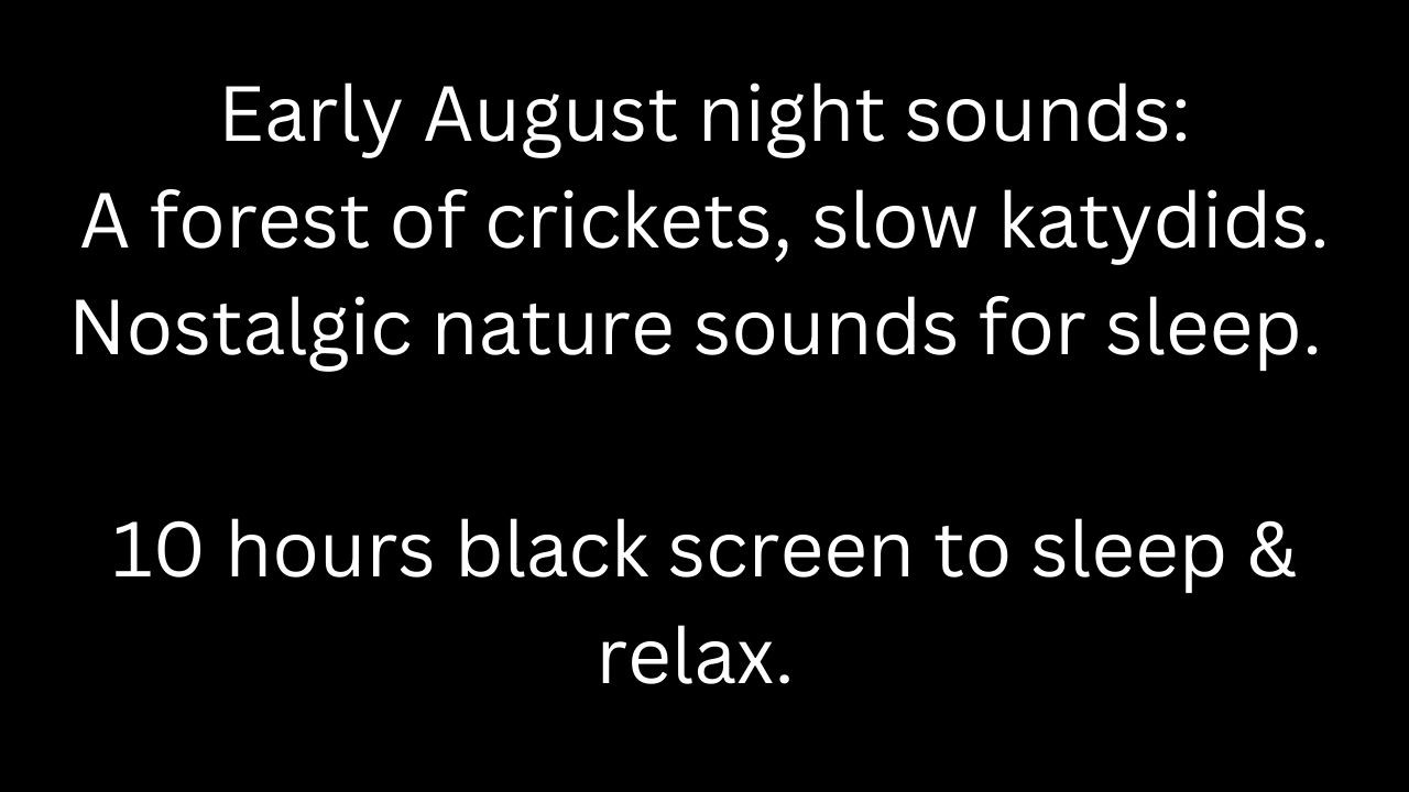 Early August night sounds: a forest of cricket, slow katydids, black screen 10 hour cricket sounds