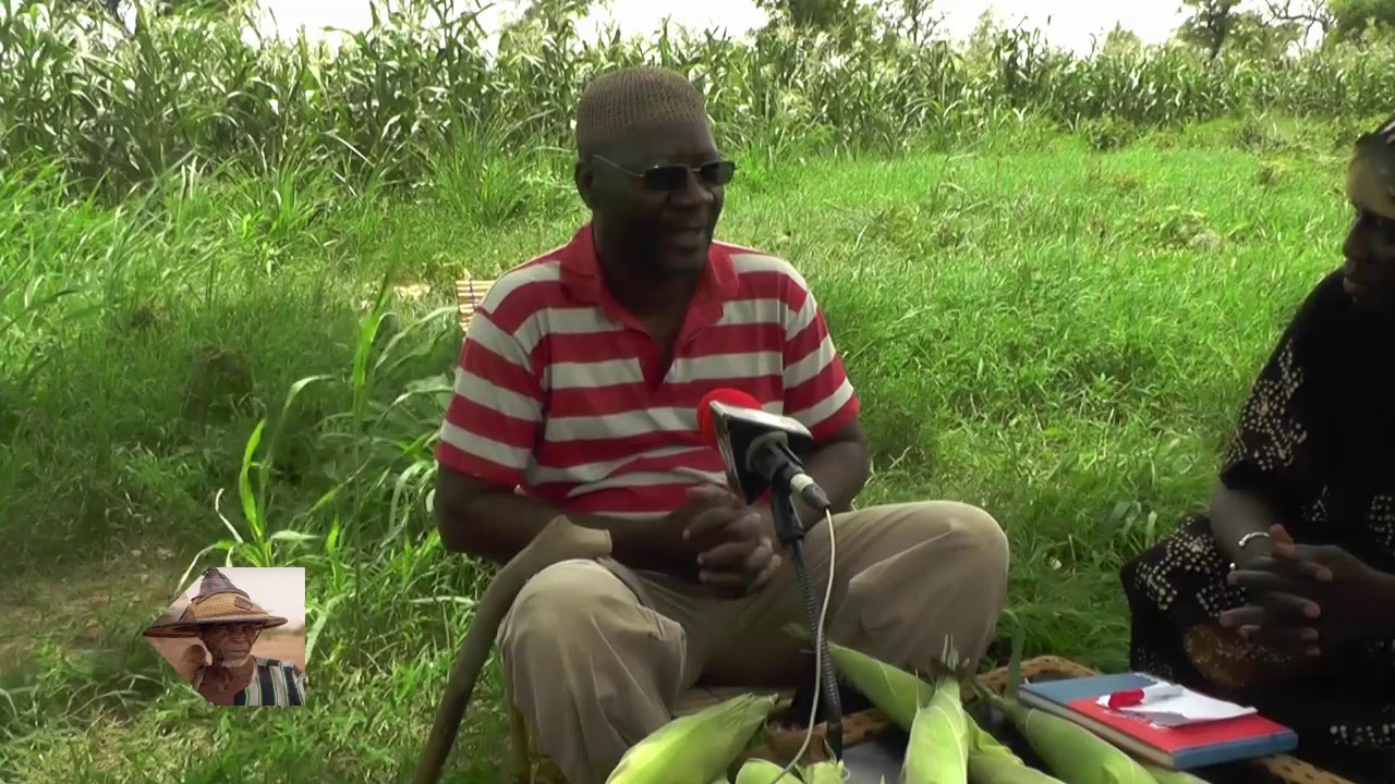 Emission Ciwara  de CHERIFLA TV avec Moustapha DIAWARA DU 14 07 2017