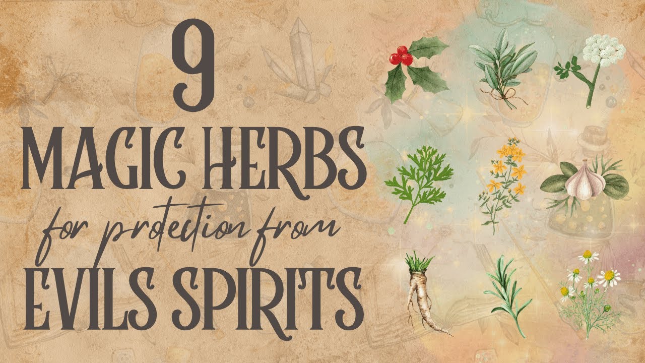 9 волшебных трав для защиты от злых духов