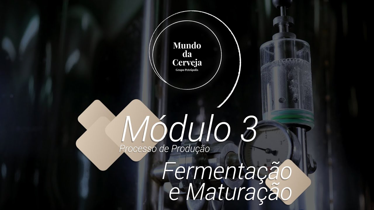M&oacute;dulo 3: Ep. 4: Brassagem - Fermenta&ccedil;&atilde;o e Matura&ccedil;&atilde;o