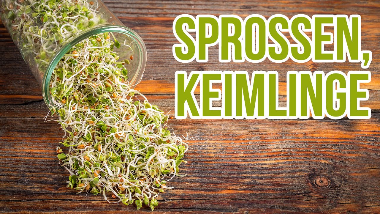 Sprossen und Keime: DAS steckt in ihnen!