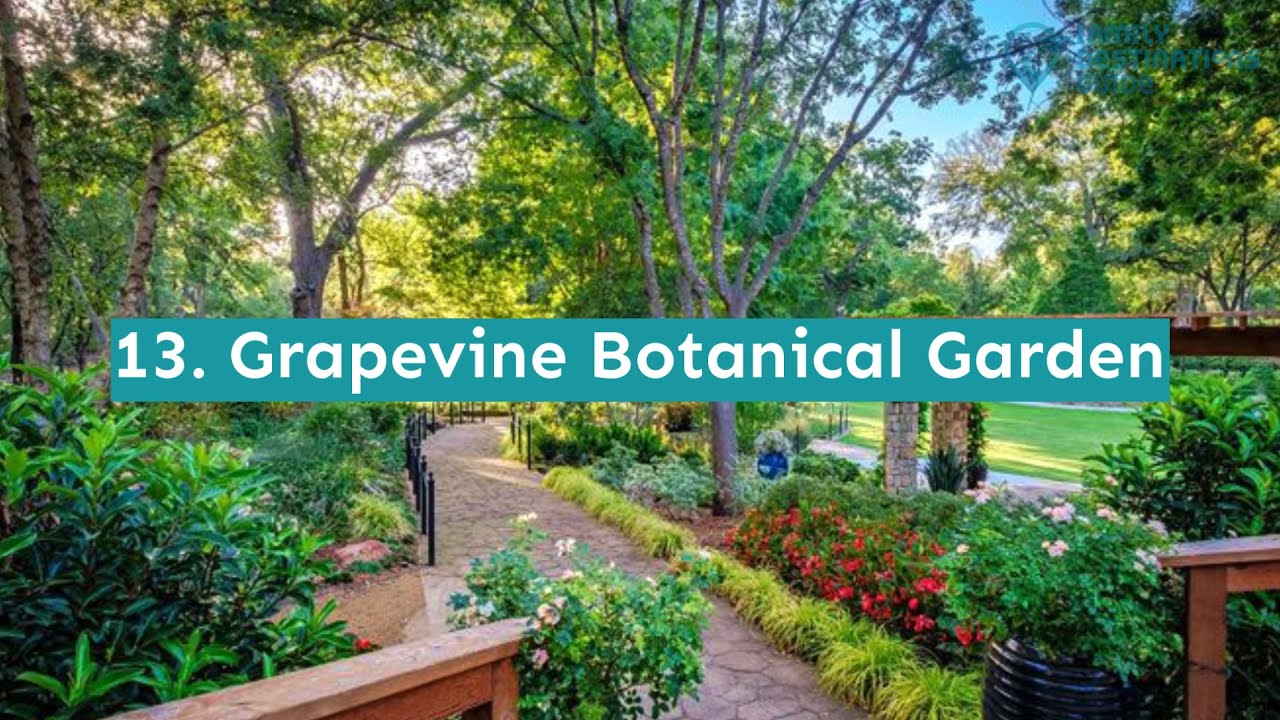 17 Best Things to Do in Grapevine, TX