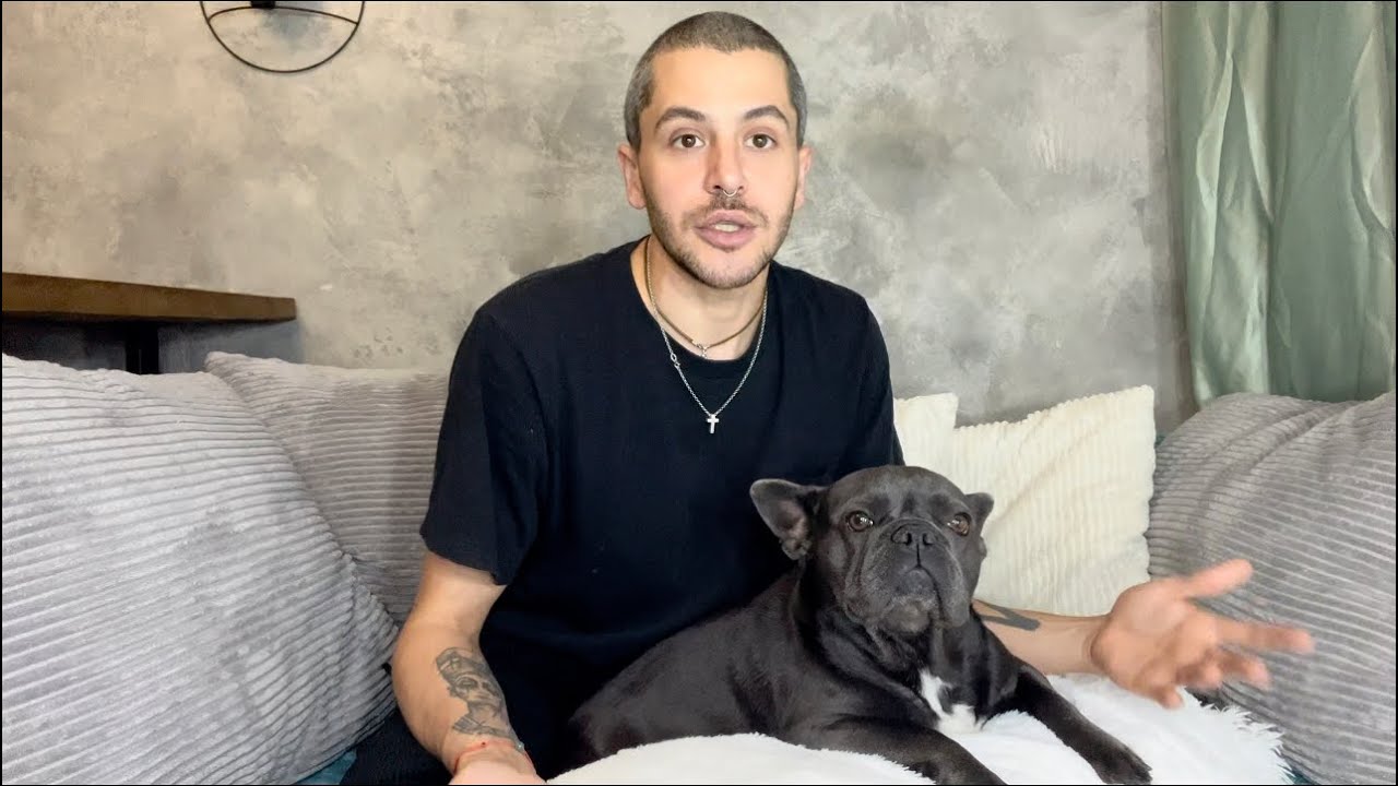 Французский бульдог беременность! Скоро родим! #французскийбульдог #frenchbulldog  #беременность