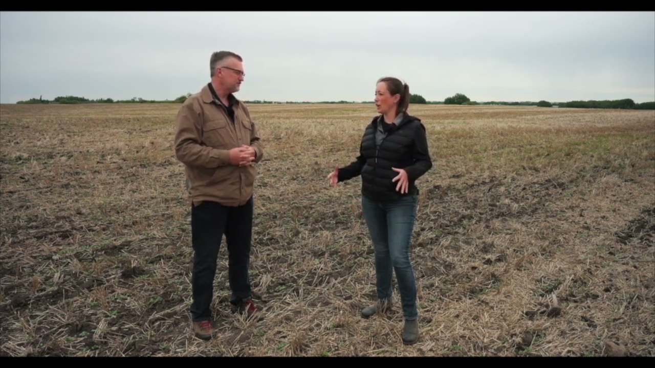 Canola School: Yield targets help to maximize crop profitability