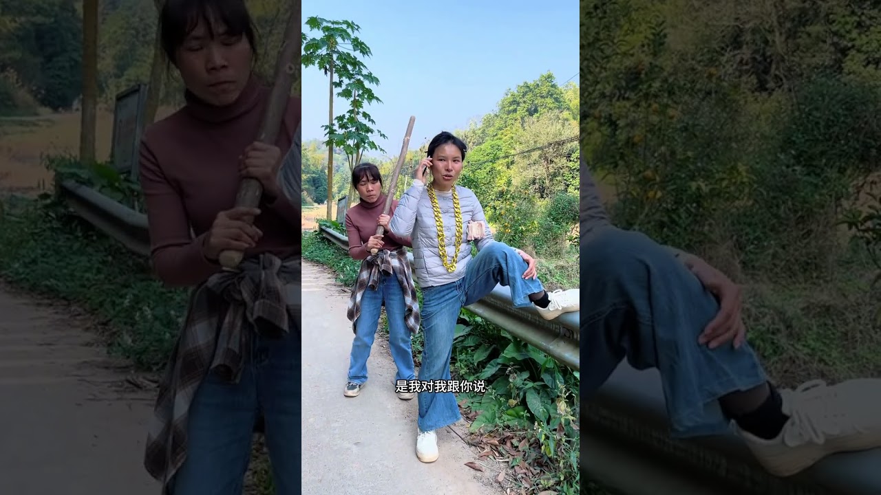 Punish evil promote good and eliminate the corrupt#The various aspects of society#My rural