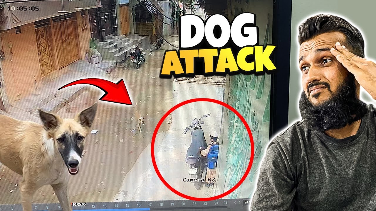 Hasan per Dog ne Attack kardia 😨 Kisne bachaya phr?