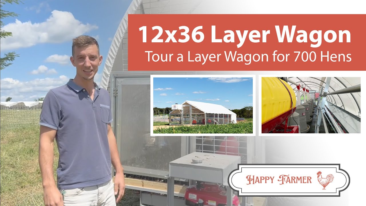 Get a Full Tour of the Layer Wagon for 700 Chickens