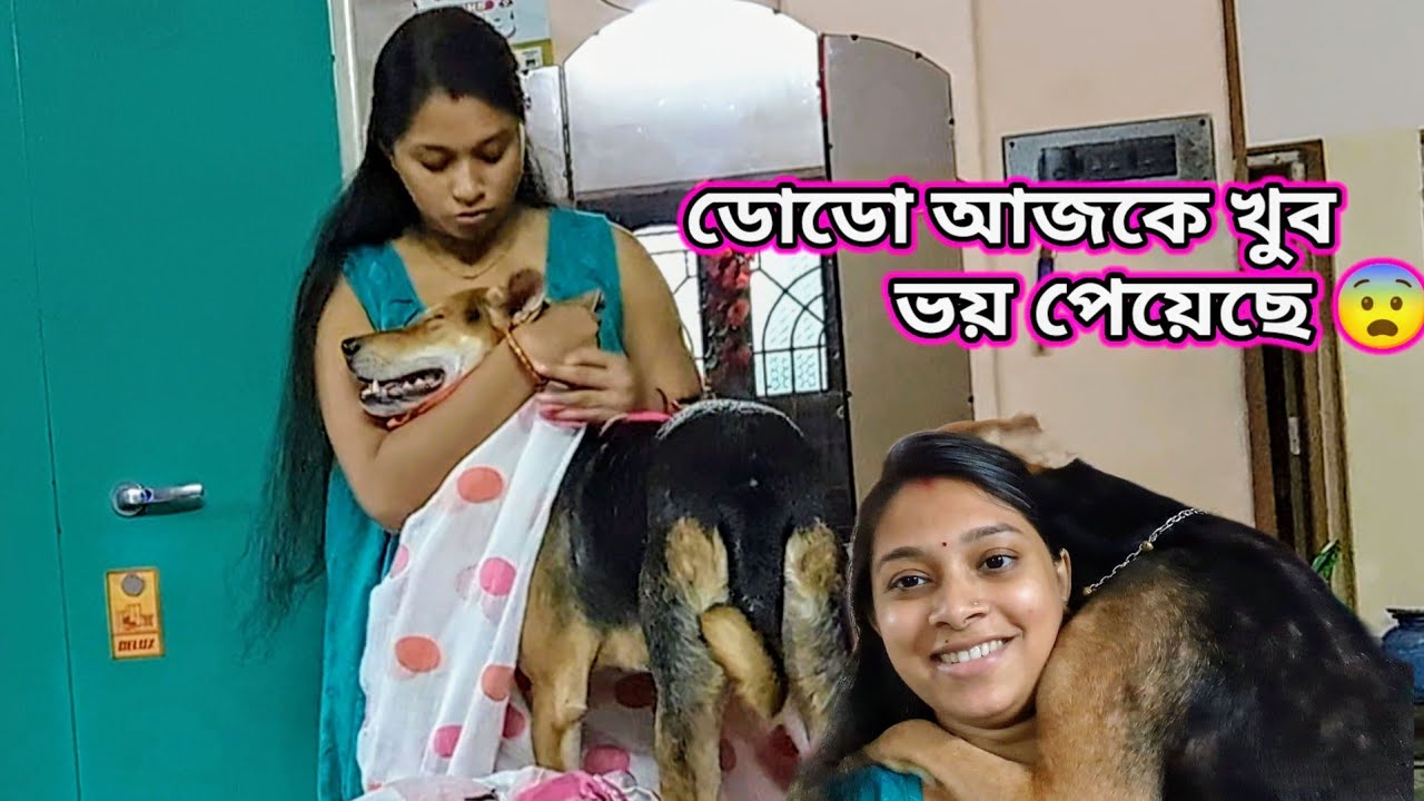 ডোডো আজকে খুব ভয় পেয়েছে 😨 ll Creative Piyasha ❤️ #vlog #dailyvlog