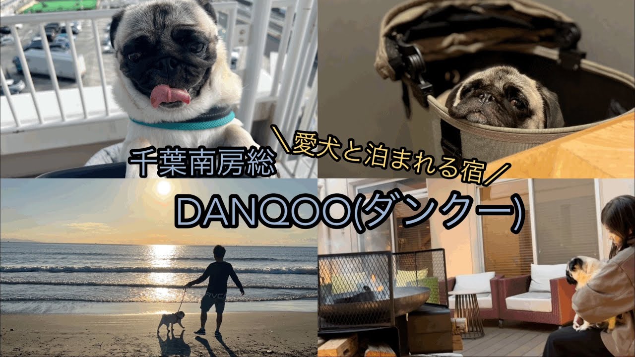 【vlog】愛犬と誕生日旅行｜南房総にあるDANQOO（ダンクー）が最高すぎた｜海ほたる｜木更津アウトレット｜xc60【パグのいる生活pug】
