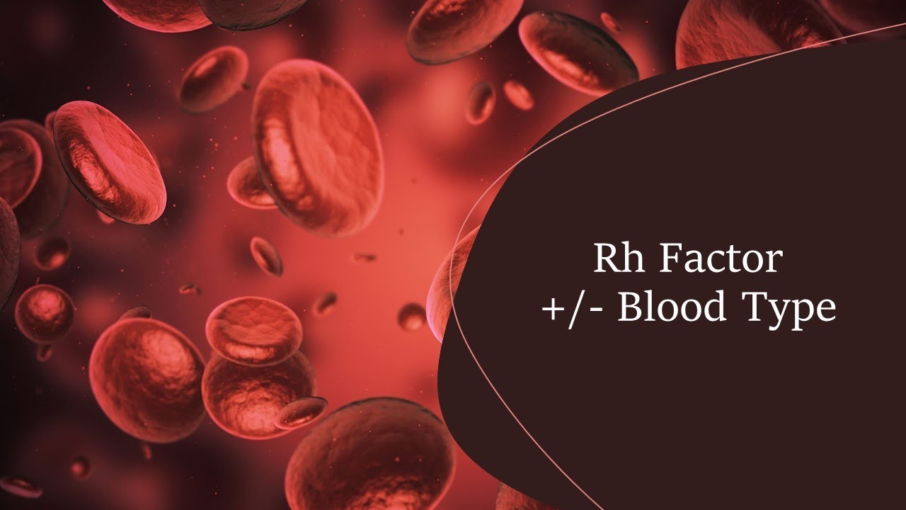 Rh Factor (+/- Blood Types)
