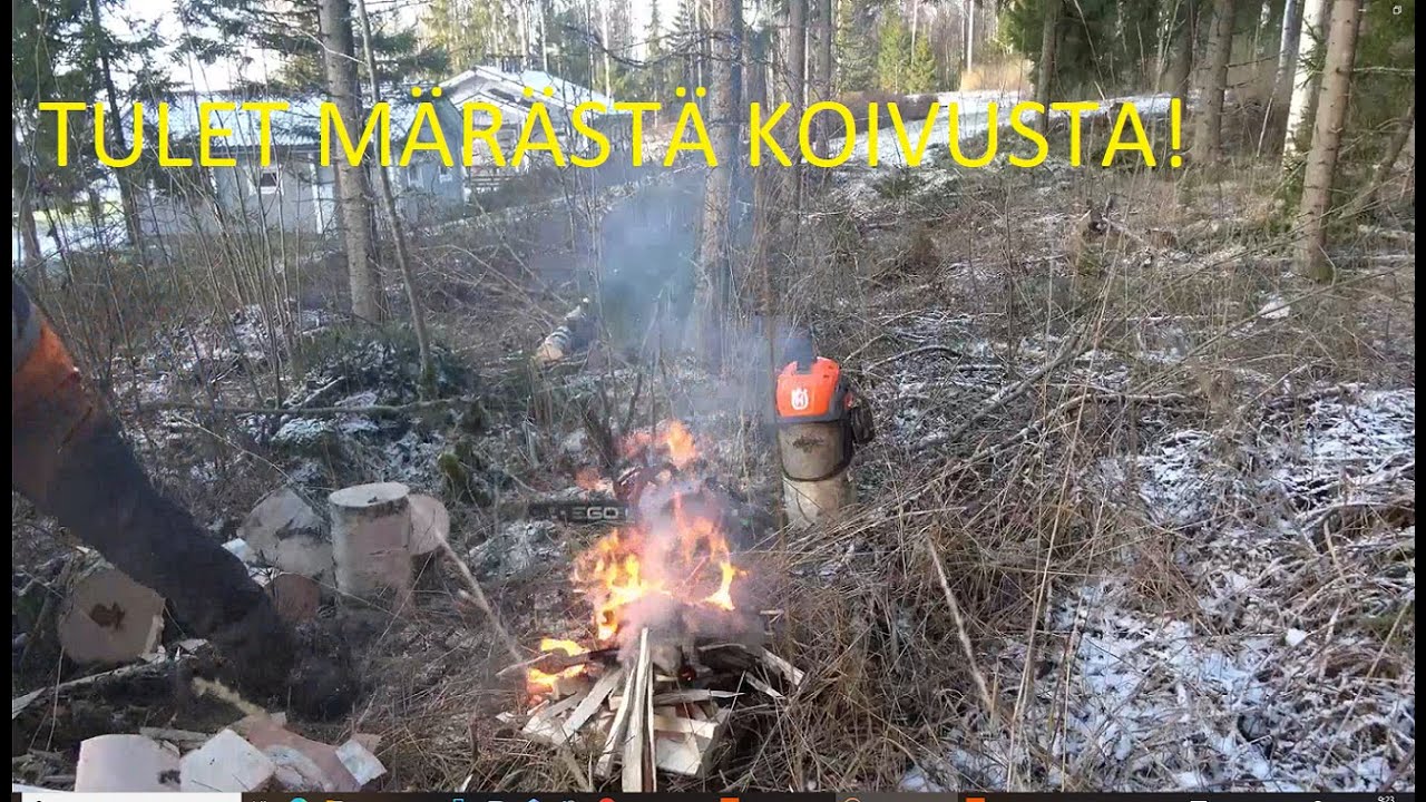 Metsolan Metsäkoulu 407 - Miten onnistuu nuotio märästä koivusta?