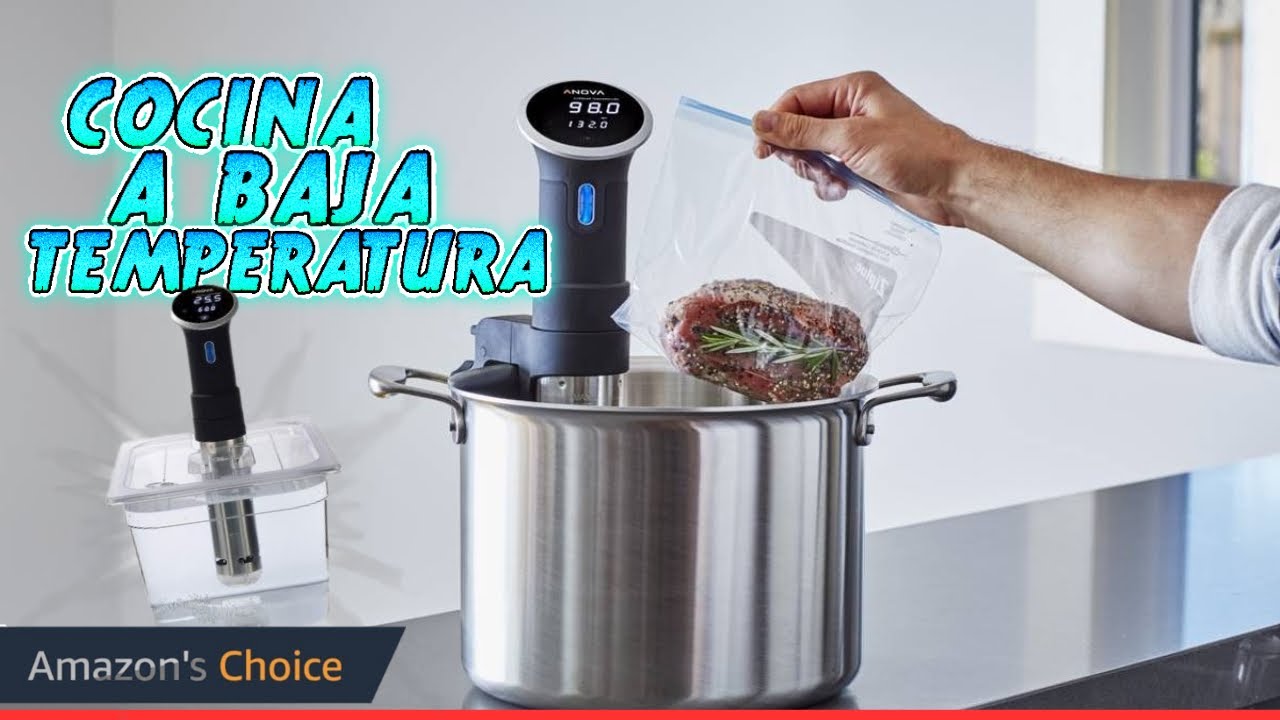 Cocina a Baja Temperatura (Sous Vide): Trucos, Accesorios y Recetas Fáciles 🍖🥕