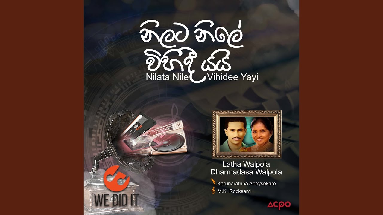 Nilata Nile Vihidee Yayi (Radio Version)