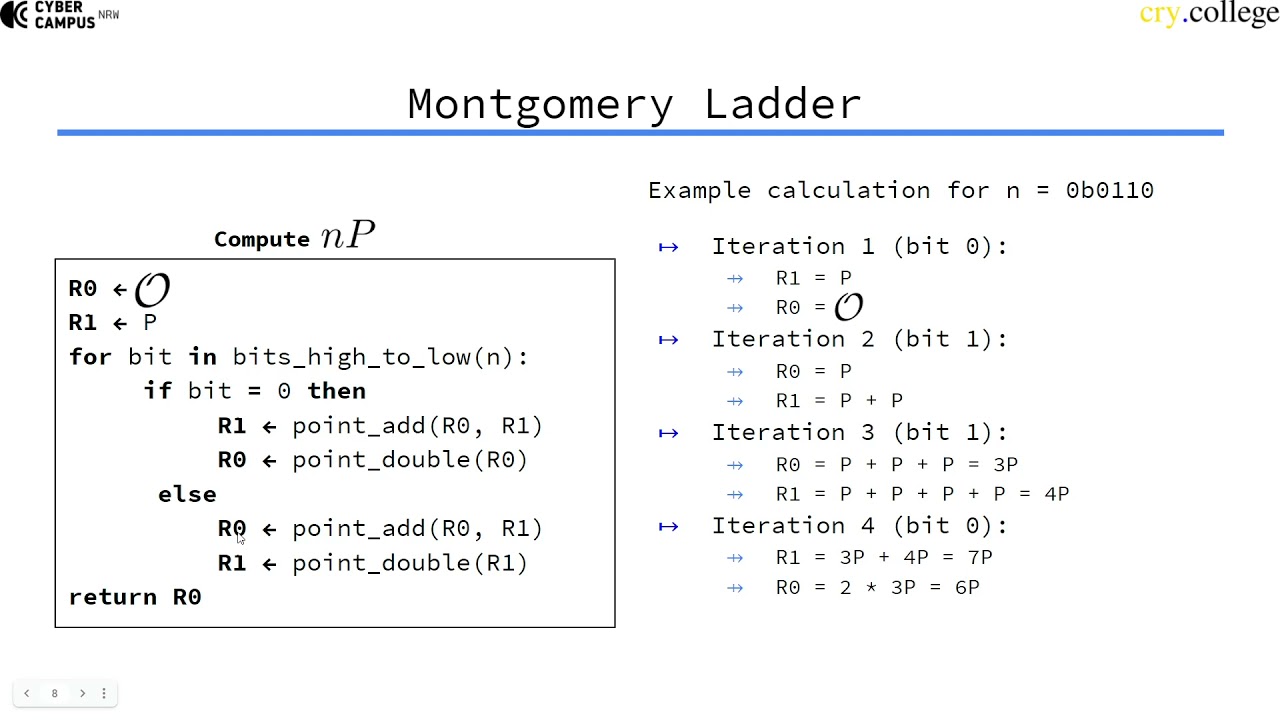 Montgomery Curves