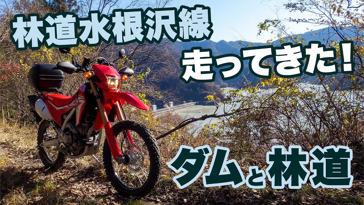 ダムを望む林道。奥多摩の林道水根沢線を走ってきた！【CRF250L】【モトブログ】【motovlog】【林道】【ツーリング】