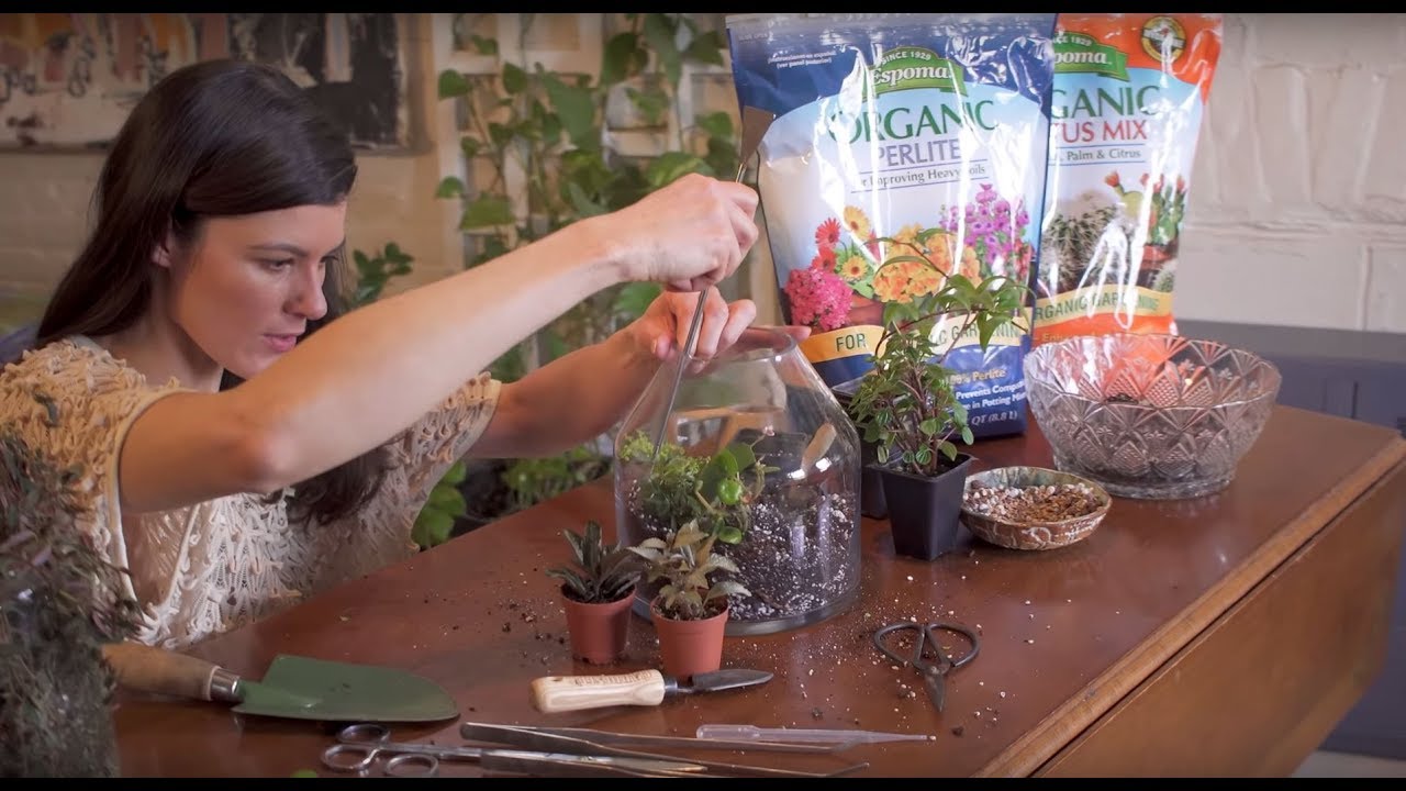 How to Plant a Terrarium — Ep 125