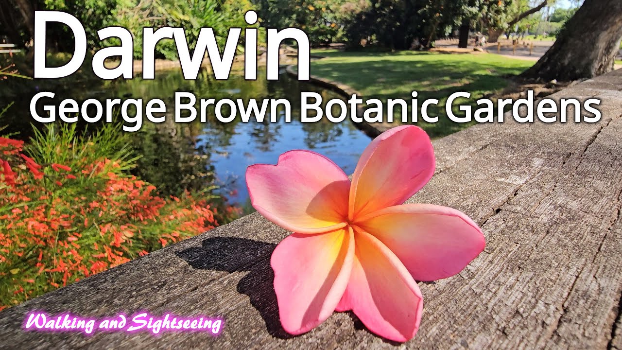 Darwin Walking Tour 2025 George Brown Darwin Botanic Gardens🌸Tropical Nature Escape in Australia NT