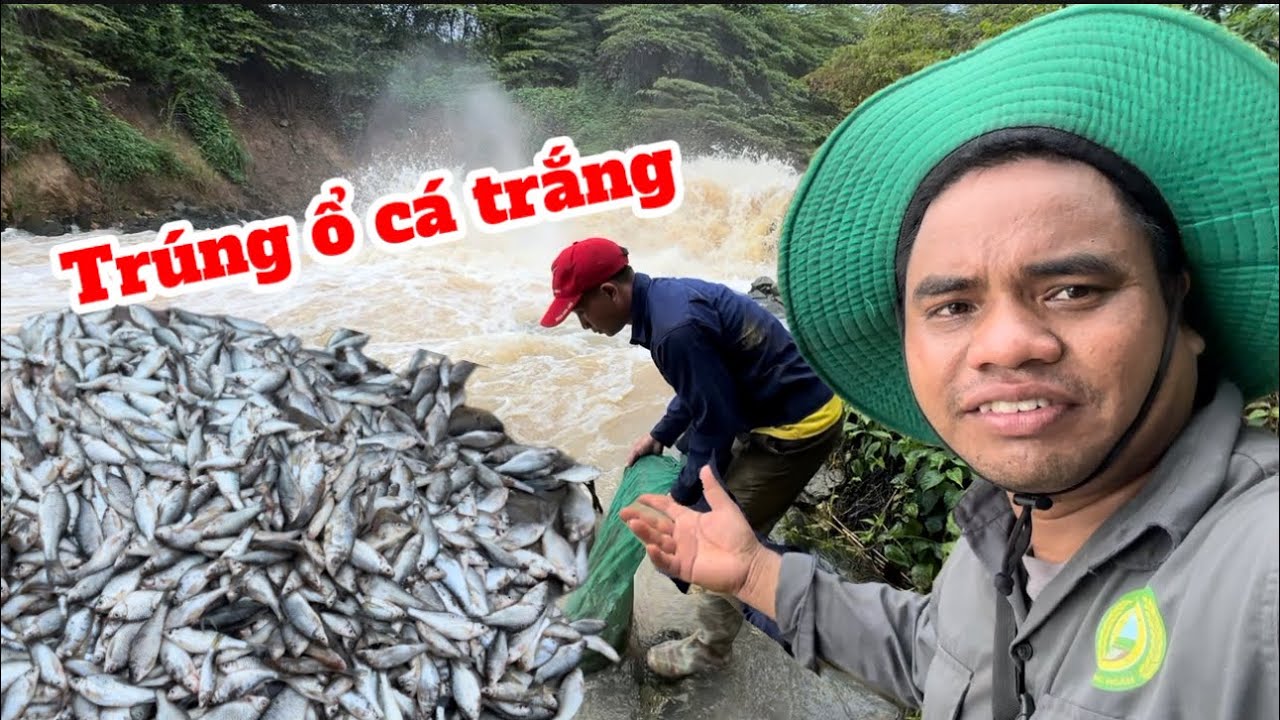 THÀNH QUẢ 1 NGÀY QUĂNG CHÀY BẮT CÁ Ở  ĐẬP IA MƠR