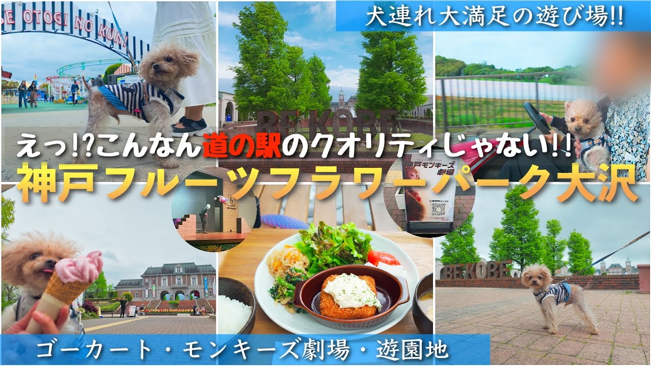【神戸フルーツフラワーパーク大沢】ほぼテーマパーク級の道の駅へ愛犬Macと行ってきた！とんでもないクオリティで驚きの連続でした！【犬とお出掛け】【犬と旅行】【犬連れ】＊44
