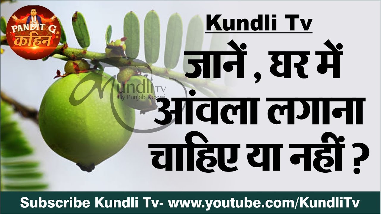 जानें, घर में आंवला लगाना चाहिए या नहीं ? Vastu Shastra I Pandit G Kahin