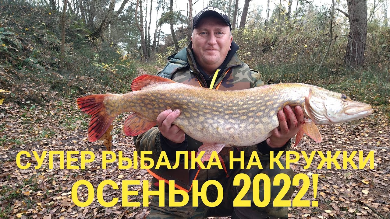 ЩУКИ-МОНСТРЫ РВУТ ЛЕСКУ! ТРОФЕЙНАЯ РЫБАЛКА НА КРУЖКИ!